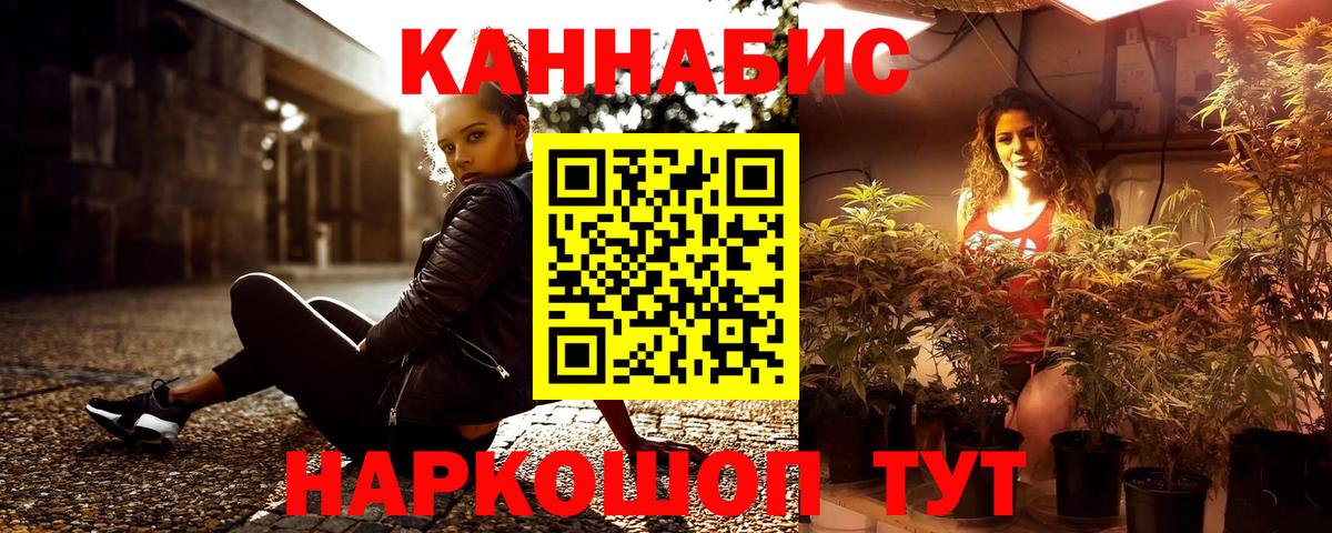 Бошки Шишки MAZAR Кизилюрт